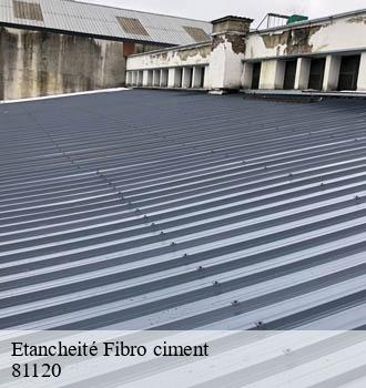 Etancheité Fibro ciment  terre-clapier-81120 Entreprise JACQUET