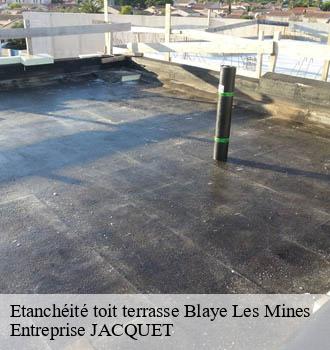 Etanchéité toit terrasse  blaye-les-mines-81400 Entreprise JACQUET