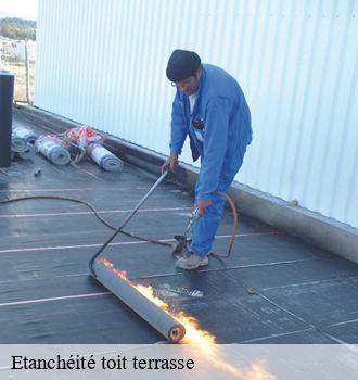 Etanchéité toit terrasse  bout-du-pont-de-larn-81660 Etanchéité EBT