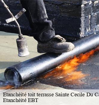 Etanchéité toit terrasse  sainte-cecile-du-cayrou-81140 Etanchéité EBT